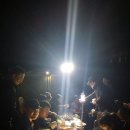 와일드피싱 이미지