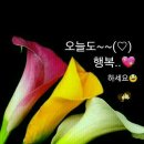 예쁜하루 이미지