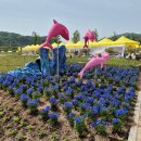 포천한우마을 이미지