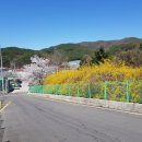 소풍가는 김밥 이미지