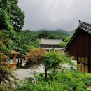 동화사 티스토리