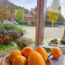 새싹예술 어린이집 이미지