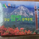 참빗과 얼레빗 이미지