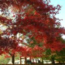 해인초등학교 이미지