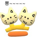 지이포토사직