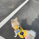 스카이팜약국 이미지