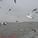 2007-주019 이미지