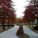 수원-1087 이미지