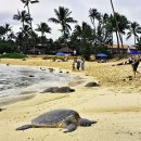 바다비치 이미지