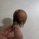 윤영농장 이미지