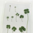 클로바농장 이미지