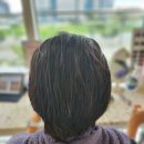 동백미장원 - 주례동 | 동백미장원