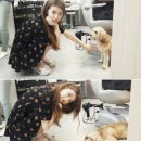 수지도나 이미지