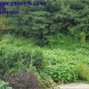 삼현보건진료소 이미지