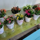 테이블39 이미지