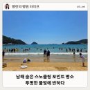 신전리해수욕장 | 남해 해수욕장 상주은모래비치 스노쿨링 포인트 명소