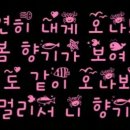우연히봄 Daum카페
