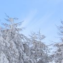 대둔산목장 이미지