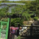 신니자동차 이미지