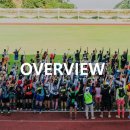 마이스정보사이트 - 2026 울릉도 국제 트레일러닝 이미지