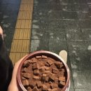 세븐다실 이미지