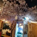 독도참치 강북구청점 이미지