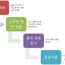 라온제나클리니컬운동센터 네이버블로그