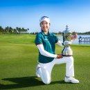 블루베이 이미지