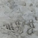 구르는 제주 이미지