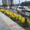 동구 산내초등학교 대전일보