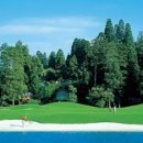 J.S골프클럽 이미지