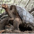 유리테크 이미지