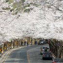 동구청 분수대 이미지