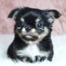 레인 켄넬 이미지