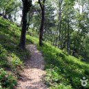 동강자연속으로 이미지