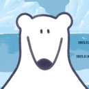 북극곰 로라 이미지