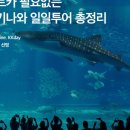 우주카월드자동차 이미지