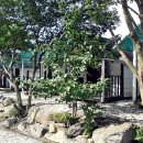 힐링주유소 이미지