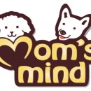 맘스마인드 트레이딩 이미지