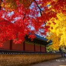 1순환로(3-178) 이미지