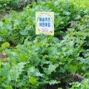 예솔어린이집 이미지