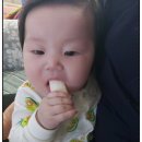 초록마을풍암점
