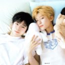 물보라 이미지