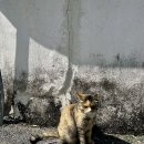 (주)필승프로젝트 이미지