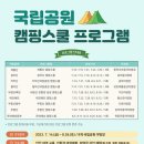캠핑스쿨 이미지