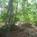 남산평기리 이미지