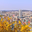 고하도 조선 육지면발상지비 이미지