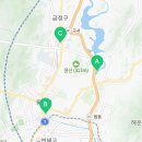 온천천시민공원 붓드레아 이미지