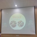 용인농촌테마파크 다정다감 | 용인 나들이ㅣ용인농촌테마파크의 2025 정월 대보름 맞이 체험행사 후기