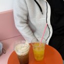 아지트댕댕 이미지